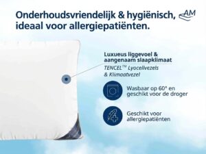 Daunenkissen-Produktbild-4-80x80-1